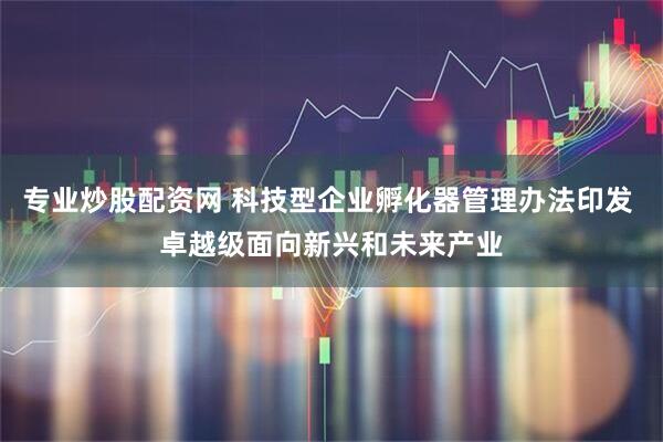 专业炒股配资网 科技型企业孵化器管理办法印发 卓越级面向新兴和未来产业