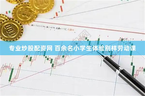 专业炒股配资网 百余名小学生体验别样劳动课