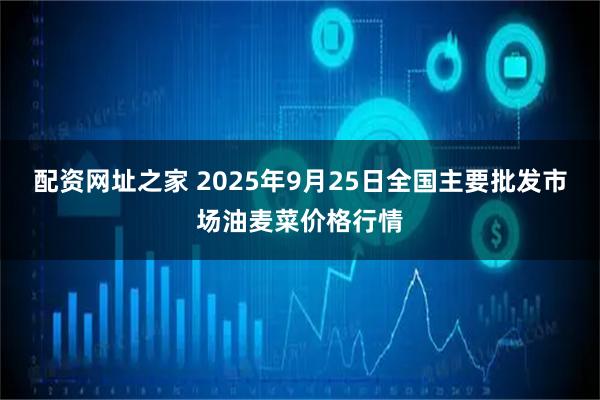 配资网址之家 2025年9月25日全国主要批发市场油麦菜价格行情
